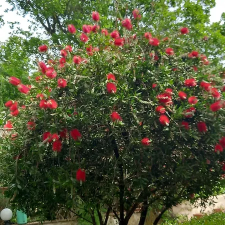 Nocleg ze śniadaniem Tonini House