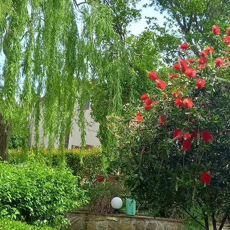 Bed & Breakfast Tonini House *
