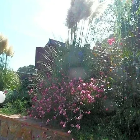 Nocleg ze śniadaniem Tonini House 3*