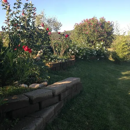 Bed & Breakfast Tonini House Casa Cavallini