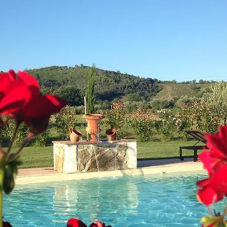Tonini House Bed & Breakfast Casa Cavallini