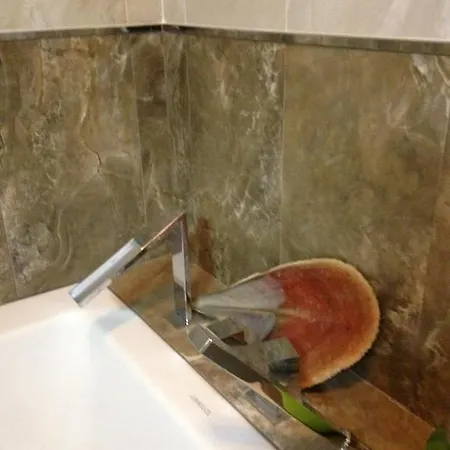 Tonini House Nocleg ze śniadaniem