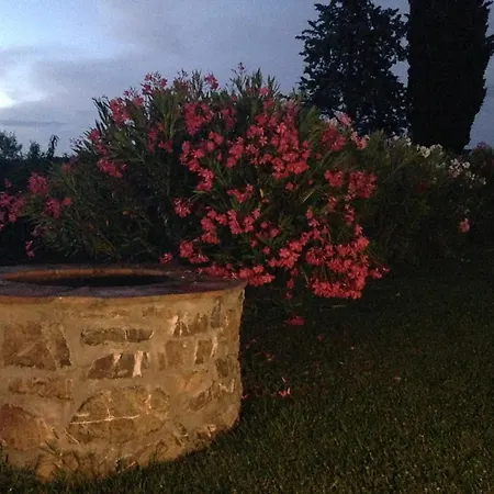 Tonini House Nocleg ze śniadaniem