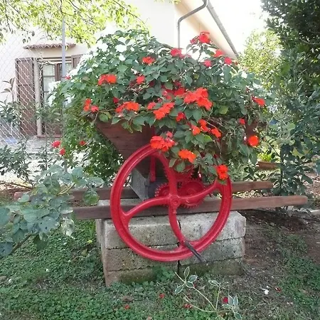 Nocleg ze śniadaniem Tonini House