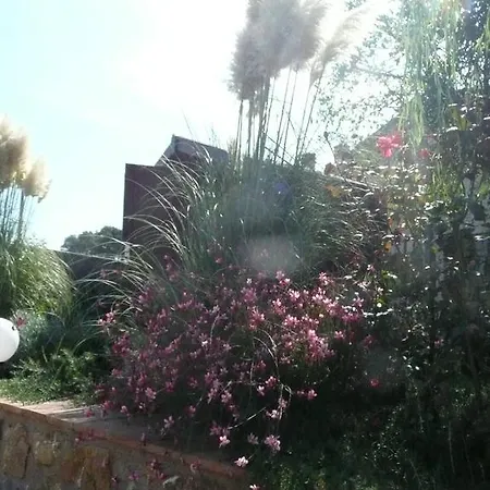 Tonini House 3* Casa Cavallini