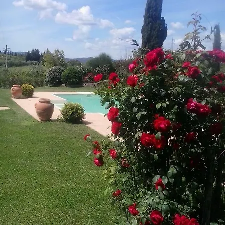 Bed & Breakfast Tonini House Casa Cavallini