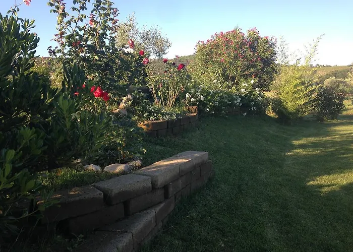 Bed & Breakfast Tonini House Casa Cavallini