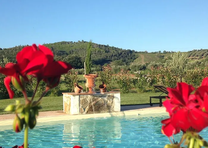 Tonini House Bed & Breakfast Casa Cavallini