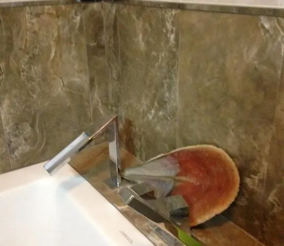 Tonini House Bed & Breakfast