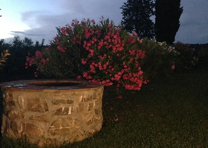 Tonini House Bed & Breakfast