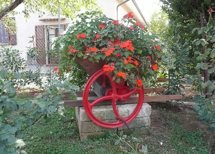 Bed & Breakfast Tonini House