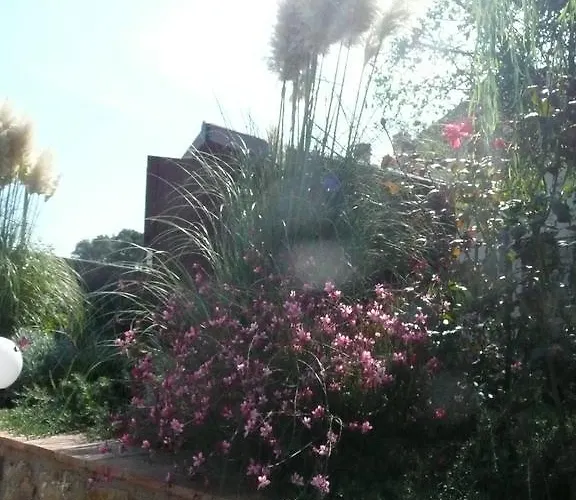 Tonini House 3* Casa Cavallini